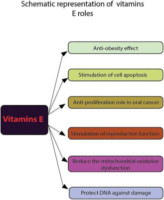 E, K, B5, B6, and B9 vitamins and their specific immunological effects evaluated by flow cytometry